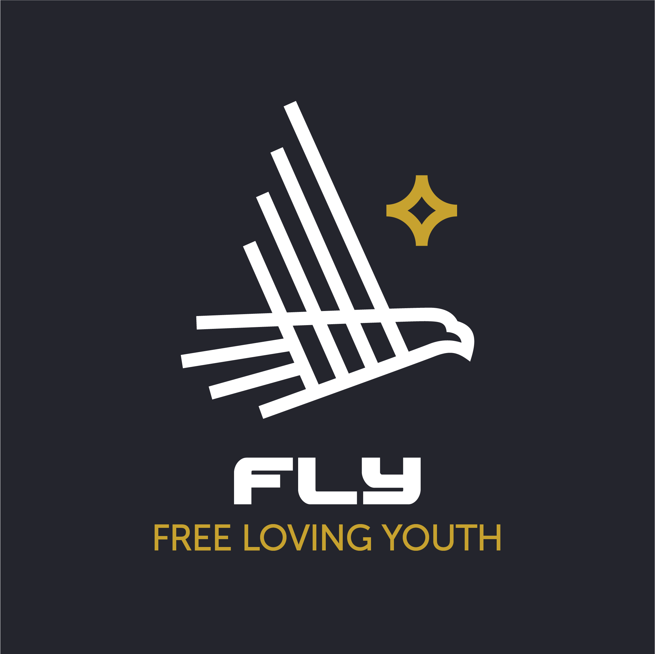 Fly